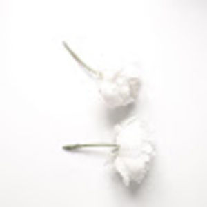 Meet your Posher, Hana